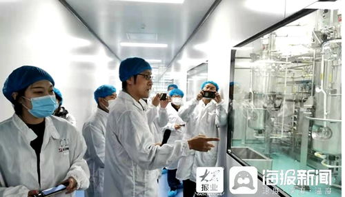 石藥集團煙臺生物醫藥高科技產業園 打造全國最大生物醫藥產業化基地，融合通信技術開發新動能