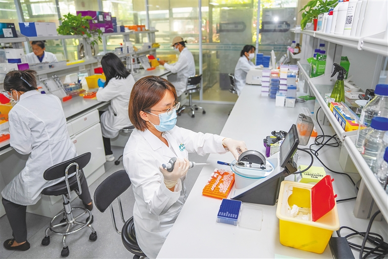 潛心科研，培育農(nóng)業(yè)“芯”與通信技術(shù)開發(fā)的雙重革命